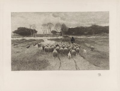 Fårehyrde af Elias Stark