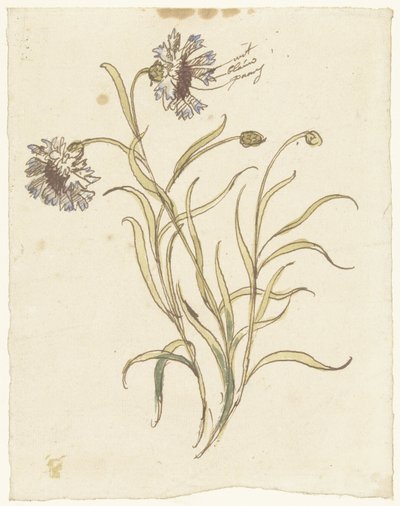 nelliker af Elias van Nijmegen