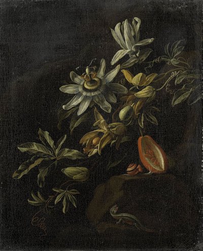 Stilleben med passionsblomster af Elias van den Broeck