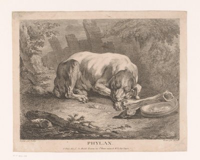 sovende hund Phylax (titel på objekt) af Élie du Mesnil