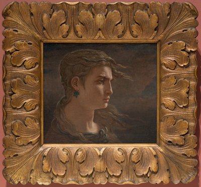 Medusas hoved af Elihu Vedder