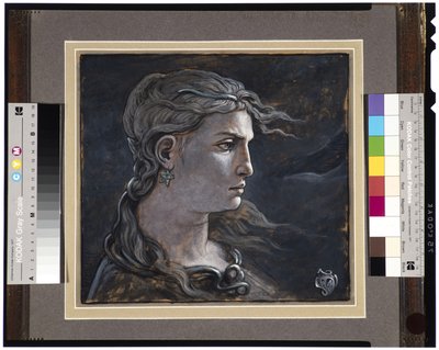 Hoved af Medusa, 1878 af Elihu Vedder