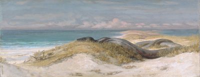  af Elihu Vedder