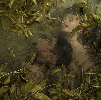 Skjult i paradis, 2015 (silketryk) af Elinleticia Högabo