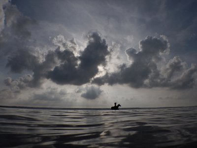Horse Horizon, 2014 (silketryk) af Elinleticia Högabo