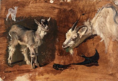 Geder af Eliphalet Fraser Andrews