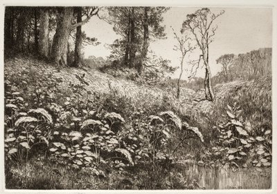 En sommereftermiddag af Elis F. Miller