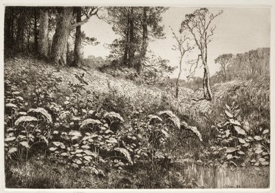En sommereftermiddag, 1882. af Elis F. Miller