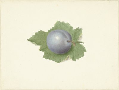 Blomme på et blad af Elisabeth Geertruida van de Kasteele