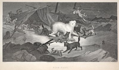 Bjørnejagt, illustration fra "The second Grinnell Expedition in Search of Sir John Franklin...", 1856 af Elisha Kane