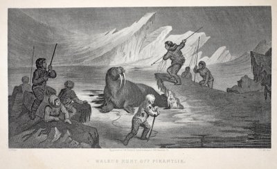 Walrus Hunt off Pikantlik, illustration fra 