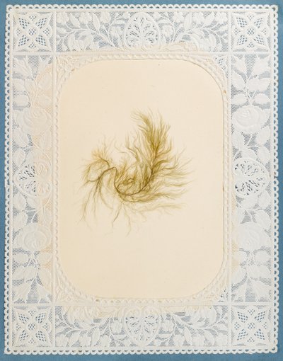 Tang af Eliza A. Jordson