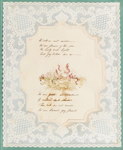 Tang af Eliza A. Jordson