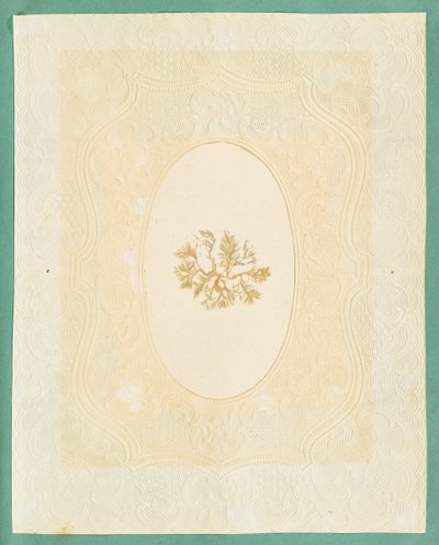 Tang af Eliza A. Jordson