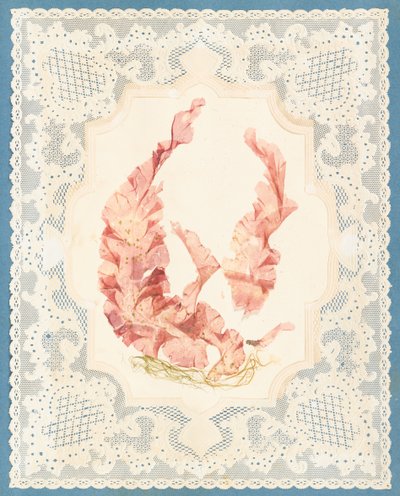 Tang af Eliza A. Jordson