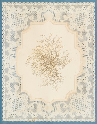 Tang af Eliza A. Jordson
