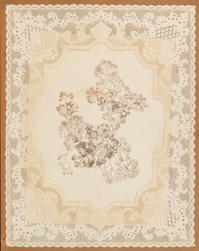Tang af Eliza A. Jordson
