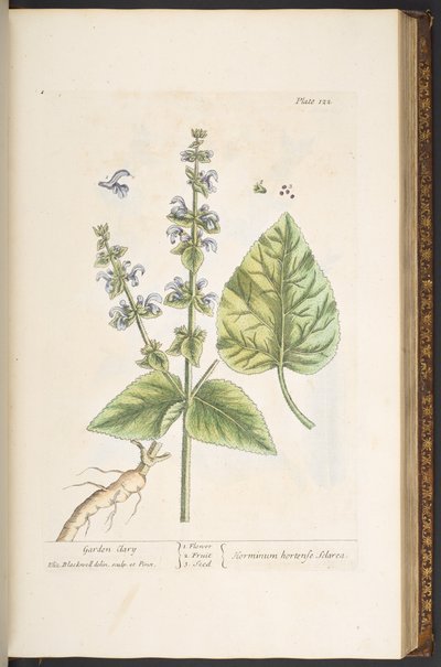 Tallerken 122, fra 