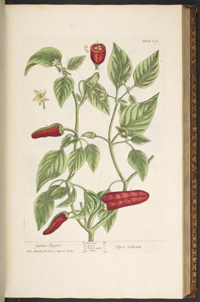 Tallerken 129, fra 