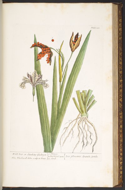 Tallerken 158, fra 