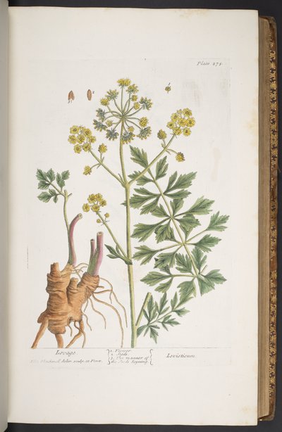 Tallerken 275, fra 