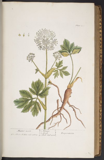 Tallerken 279, fra 