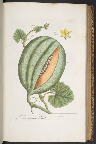 Tallerken 329, fra 