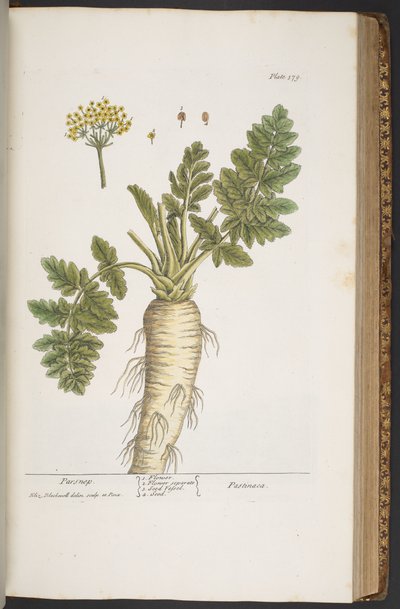 Tallerken 379, fra 