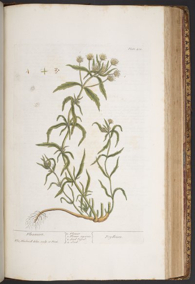 Tallerken 412, fra 