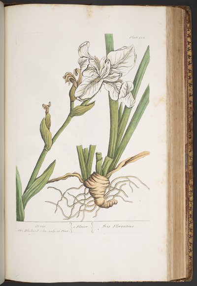 Tallerken 414, fra 