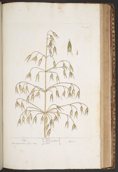 Tallerken 422, fra 