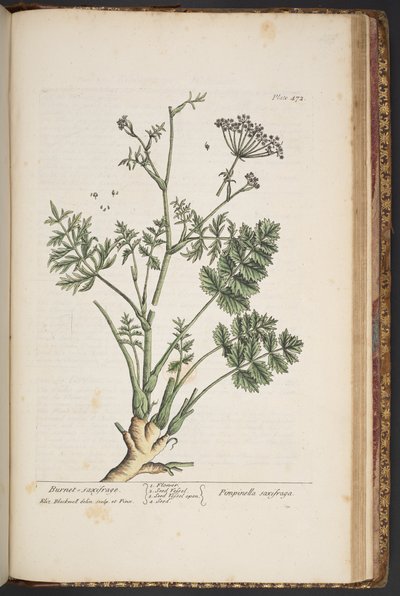 Tallerken 472, fra 