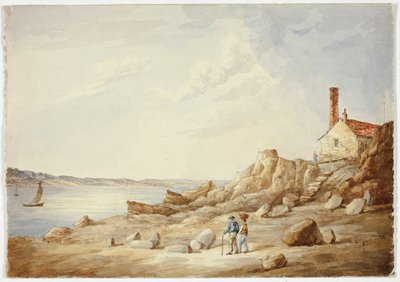Rocky Shore af Elizabeth Murray