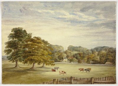 Seks køer græsser før Country House af Elizabeth Murray