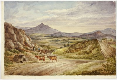 Wicklow Hills af Elizabeth Murray