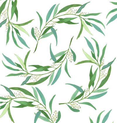 Eucalyptus Leaves, 2018 (akvarel og akryl) af Elizabeth Rider
