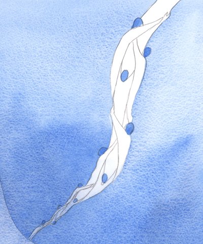 Vores forbøn for de hellige sjæle i skærsilden, i Jesu navn, er som et reb, der trækker dem mod himlen, 2002 (w/c på papir) af Elizabeth Wang
