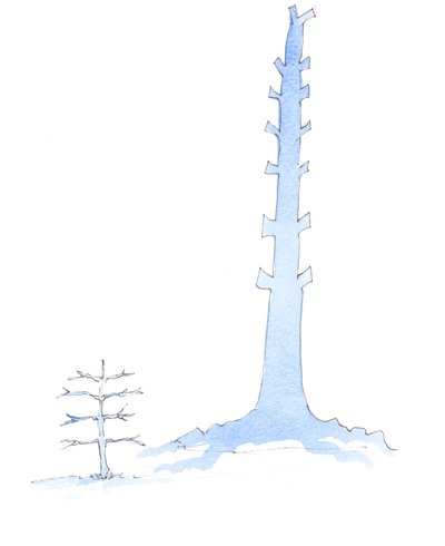 Kirken er vokset, som en kæmpe eg vokser fra et ungt træ, 2003 (w/c på papir) af Elizabeth Wang