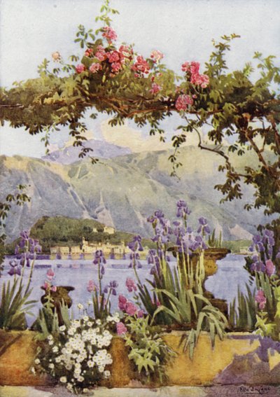 En have ved Cadenabbia, Comosøen (farve litho) af Ella Du Cane