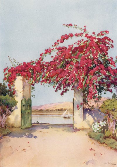 En have i Luxor (farve litho) af Ella Du Cane