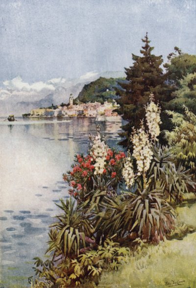 En gruppe af Yuccas, Villa Melzi, Comosøen (farve litho) af Ella Du Cane