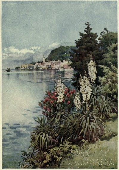 A Group of Yuccas, Villa Melzi, Lago di Como, Illustration fra 
