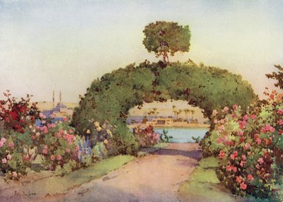 En rosenhave i Giza og udsigt over Kairo (farve litho) af Ella Du Cane