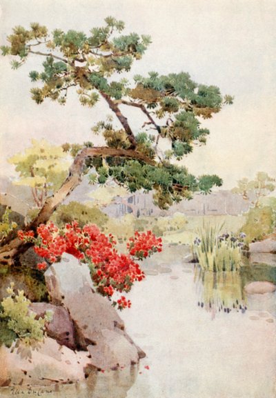 Azalea og fyrretræ (farve litho) af Ella Du Cane