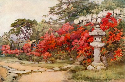Azalea, Awata (farve litho) af Ella Du Cane
