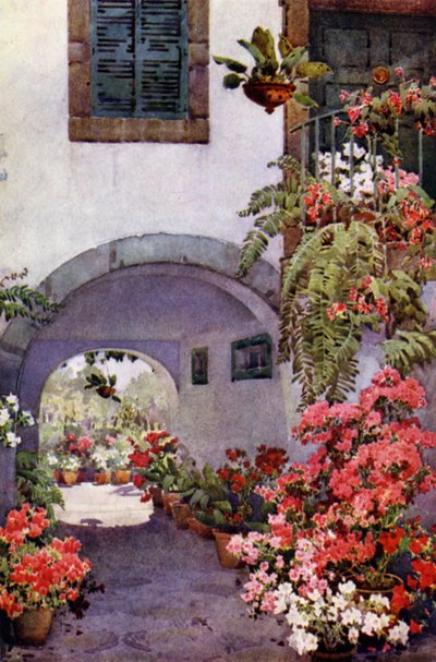 Azaleaer i en portugisisk have (farve litho) af Ella Du Cane