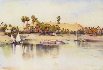 Elephantine Island (farve litho) af Ella Du Cane