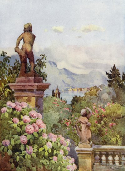 Hortensia, Isola Bella, Lago Maggiore (farve litho) af Ella Du Cane