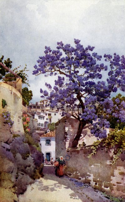 Jacaranda træ (farve litho) af Ella Du Cane