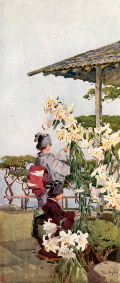 Golden Lily (farve litho) af Ella Du Cane